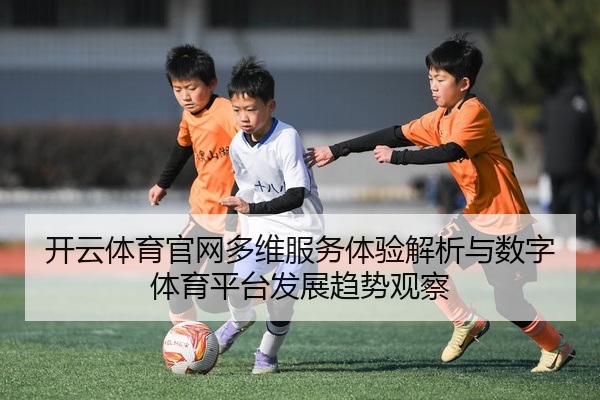 开云体育官网多维服务体验解析与数字体育平台发展趋势观察