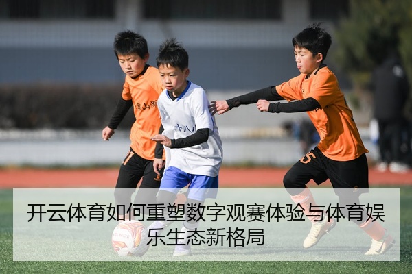 开云体育如何重塑数字观赛体验与体育娱乐生态新格局